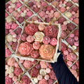 Pink Flower Box