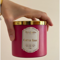 Cactus Rose